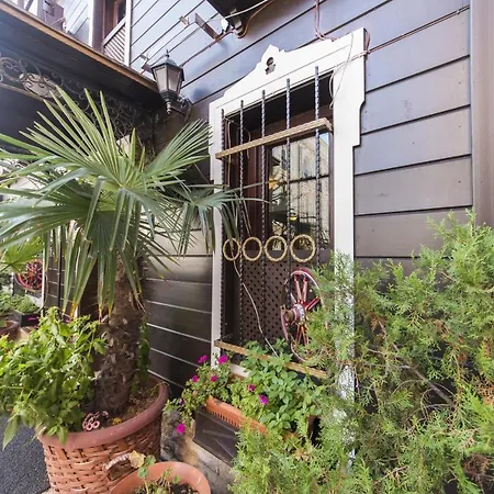 Deniz איסטמבול